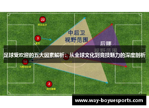 足球受欢迎的五大因素解析:从全球文化到竞技魅力的深度剖析
