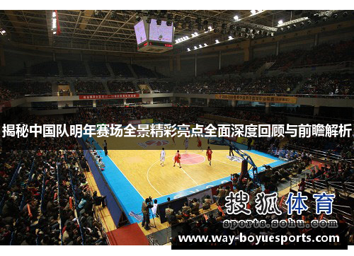揭秘中国队明年赛场全景精彩亮点全面深度回顾与前瞻解析