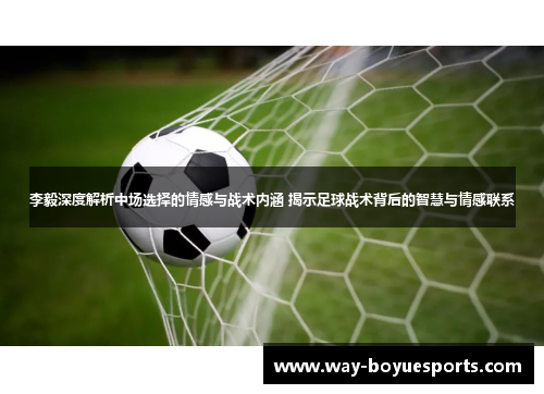 李毅深度解析中场选择的情感与战术内涵 揭示足球战术背后的智慧与情感联系